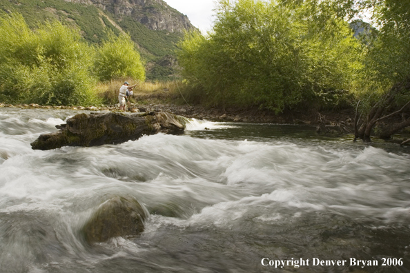 Flyfishermen fishing from log.