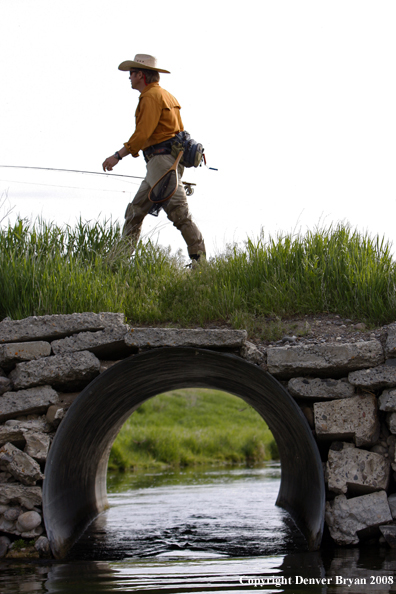 Flyfisherman fishing spring creek.