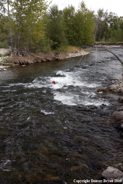 Flyfisherman caught in rapids