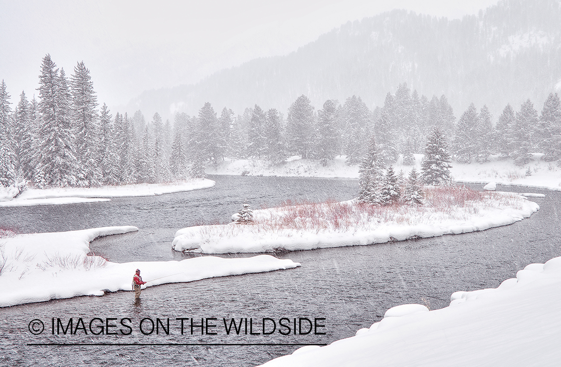 Flyfisherman on Madison River, MT in winter.