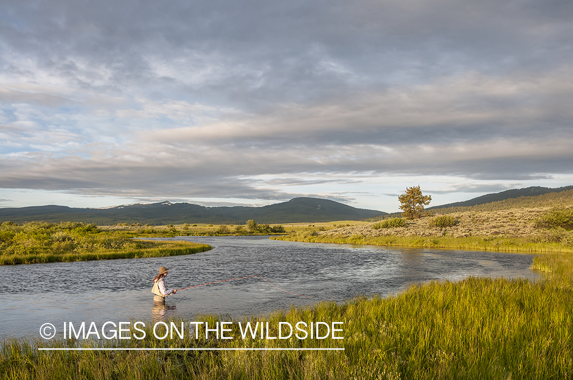 Flyfishing on South Fork Madison, Montana.