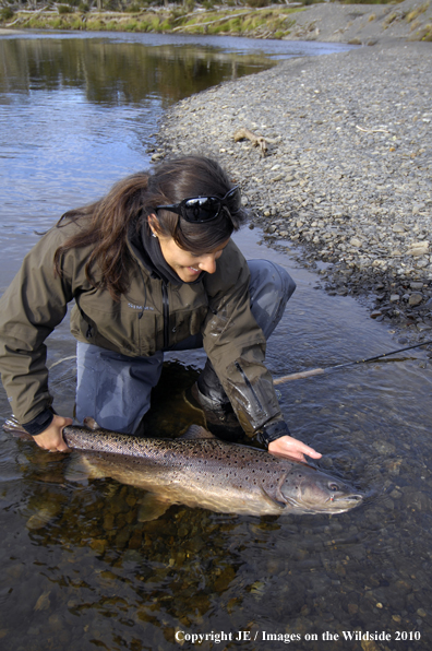 Flyfisherwoman with Nice Brown Trout