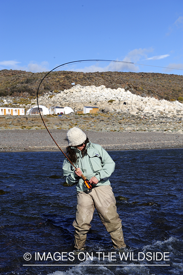 Jurassic Lake flyfisher fighting rainbow trout, Argentina.