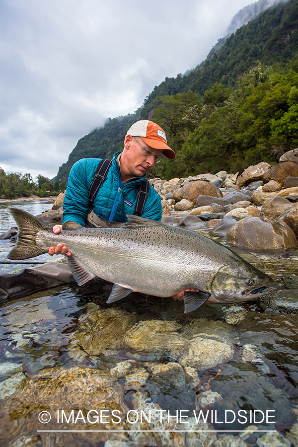 King salmon fishing in Chile.