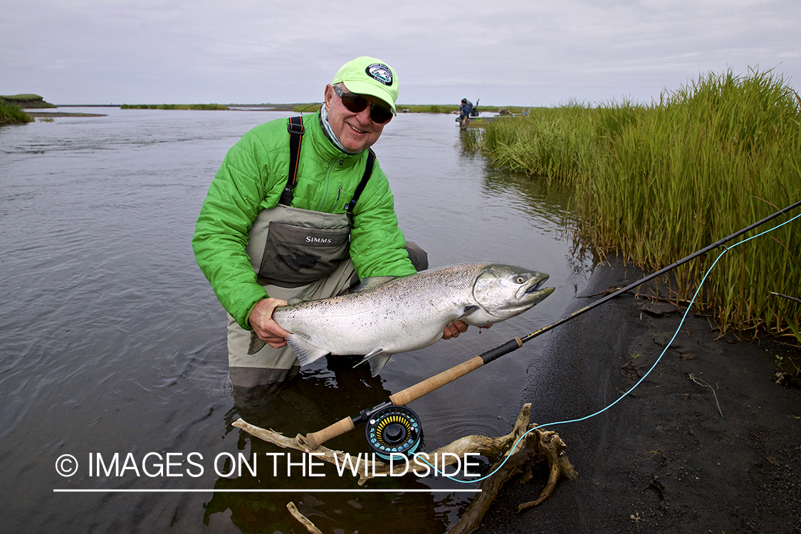 Flyfisherman releasing King Salmon.