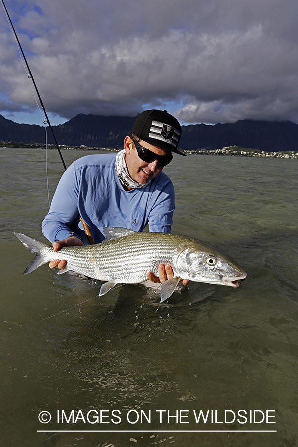 Saltwater flyfisherman with 13 lb bonefish, in Hawaii.