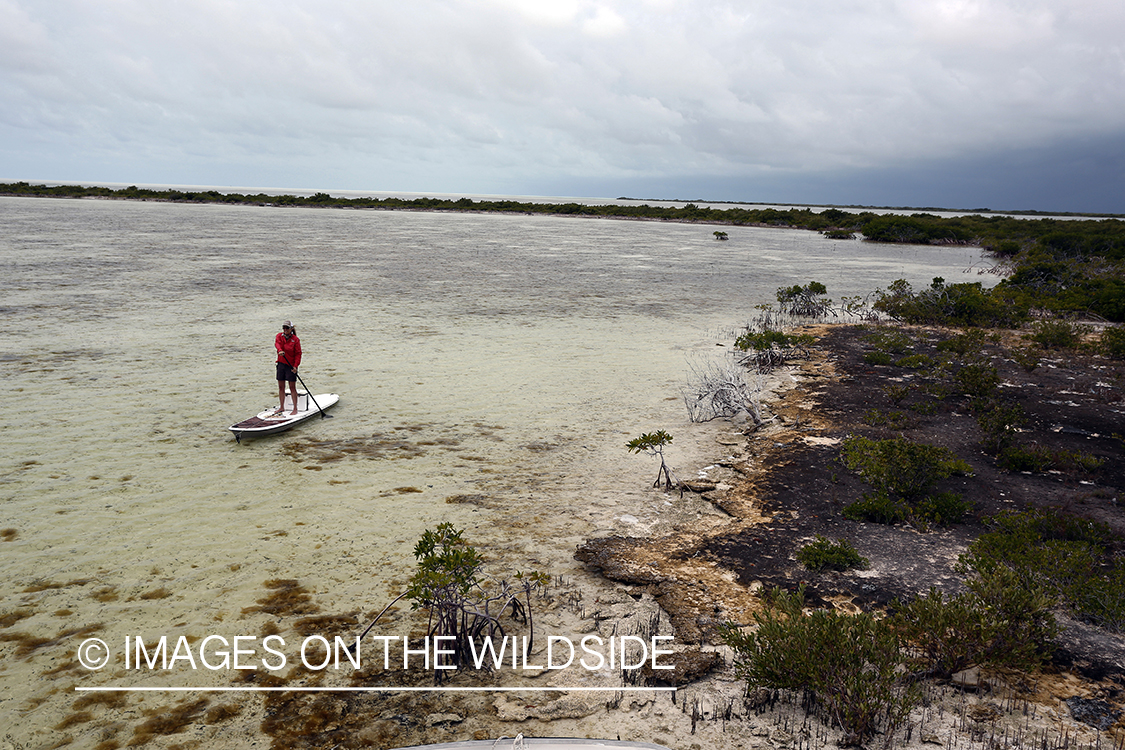 Saltwater flyfishing woman on paddle board on flats.