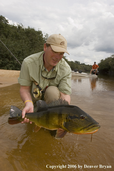 Fisherman holding Peacock Bass