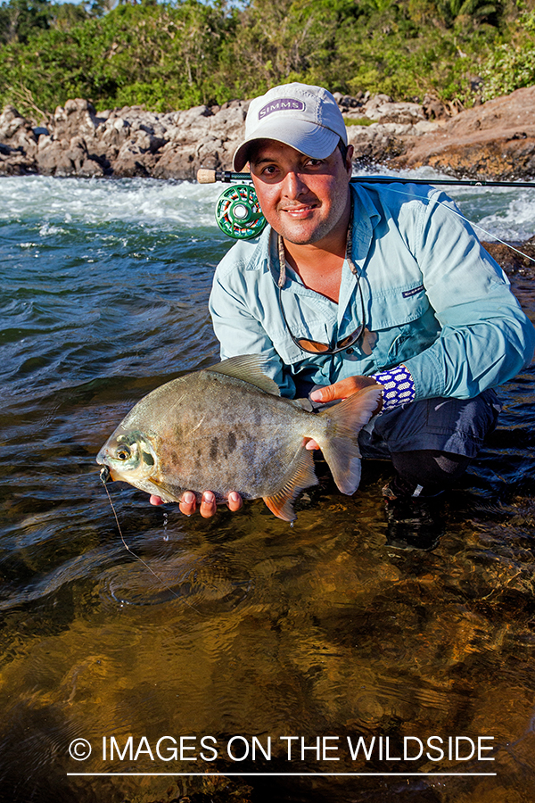 Flyfisherman with piranha on river in Kendjam region, Brazil.