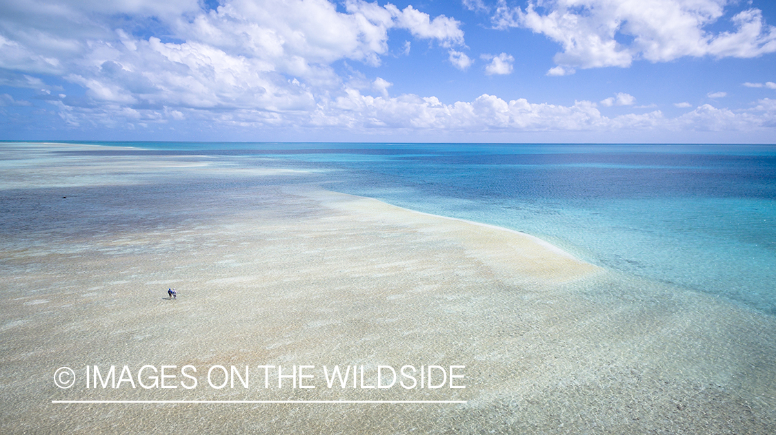 Drone aerial shot of fisherman on St. Brandon's Atoll Flats.