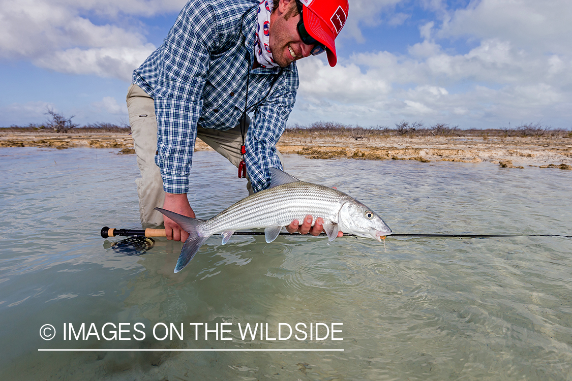 Flyfisherman releasing bonefish.