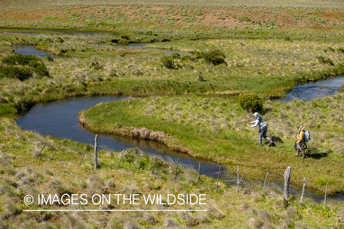 Flyfisherman and guide on stream.