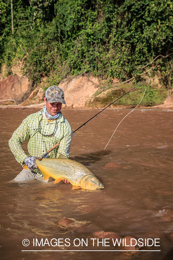 Flyfishing for Golden Dorado in Bolivia.