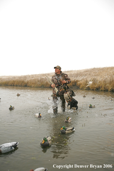 Duck hunting in winter