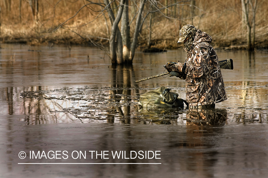 Waterfowl hunter setting up duck decoys.