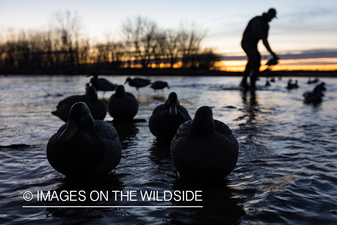 Waterfowl hunting