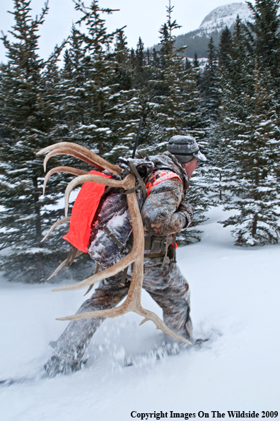 Hunter with elk rack