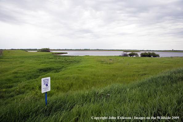 Wetlands on National Wildlife Refuge