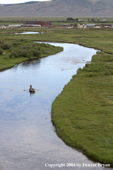 Flyfishermen fishing river from drift boat.  Summer.