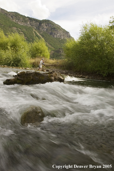 Flyfishermen fishing behind log.