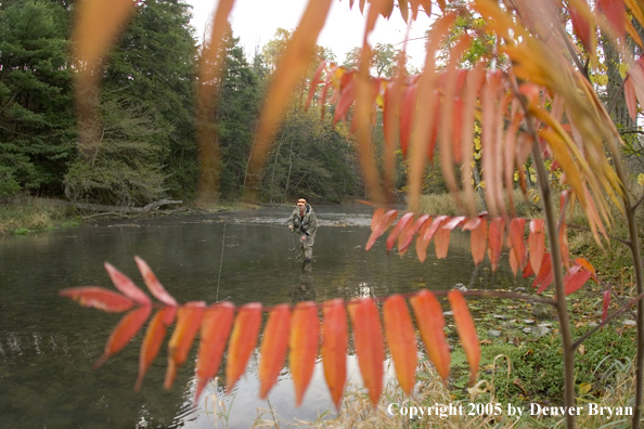 Flyfisherman casting.