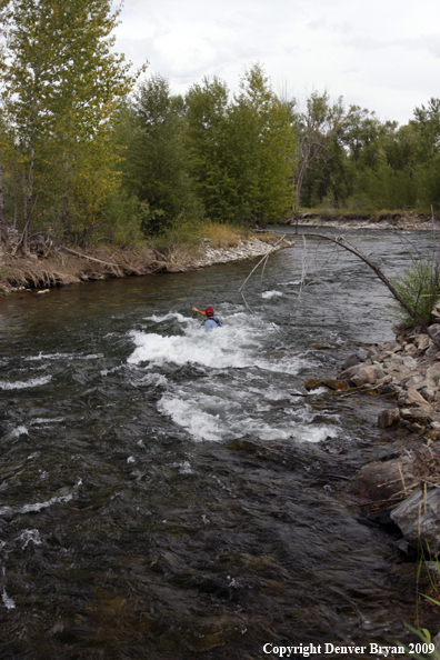 Flyfisherman caught in rapids