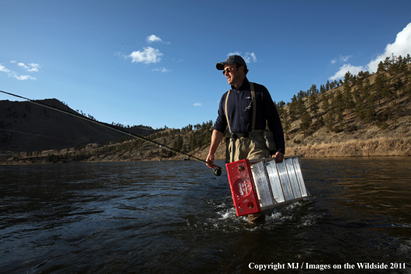 Flyfisherman carrying ladder out of middle of river.