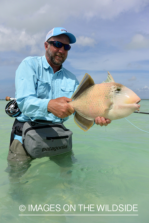 Flyfisherman with peachy triggerfish.