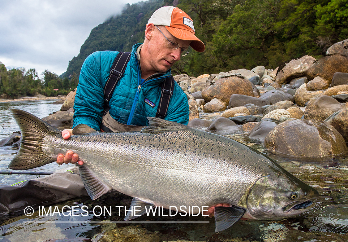 King salmon fishing in Chile.