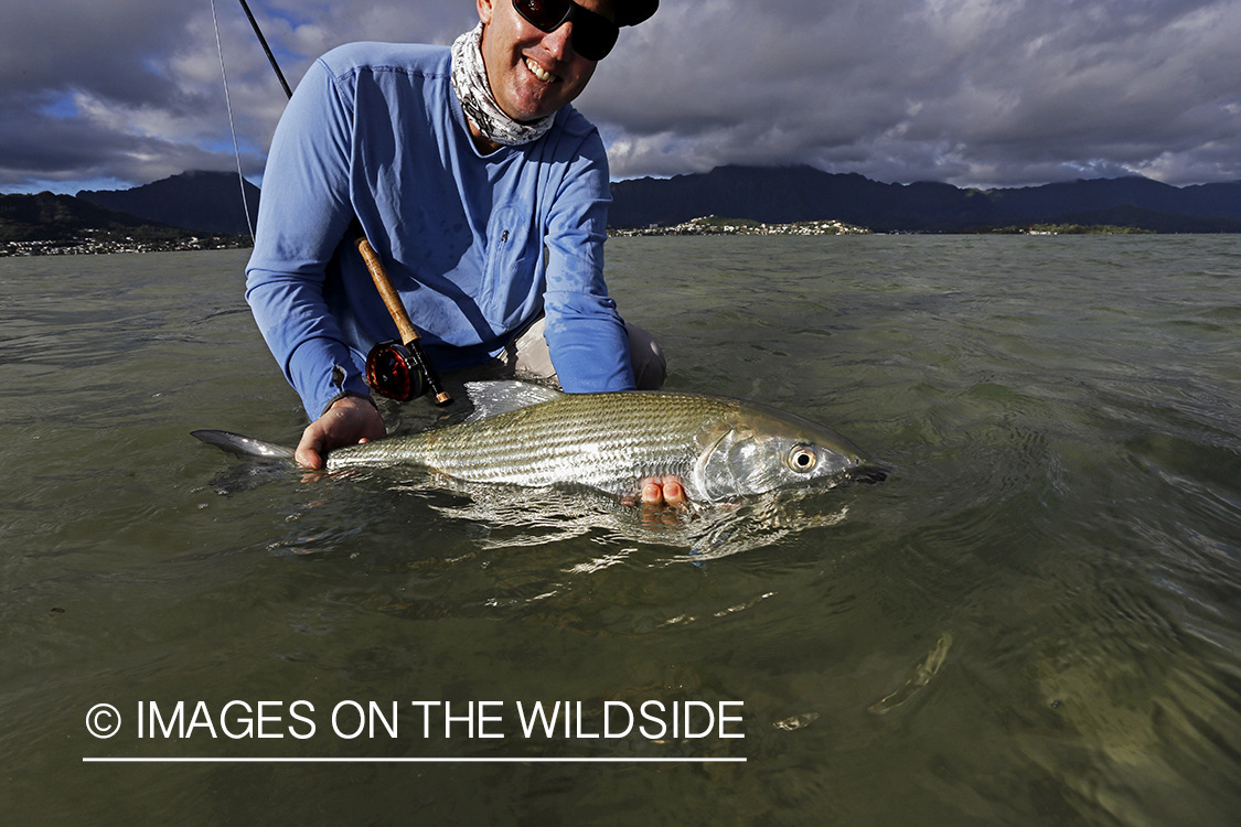 Saltwater flyfisherman with 13 lb bonefish, in Hawaii.