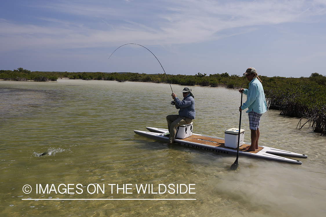 Flyfisherman fighting bonefish.