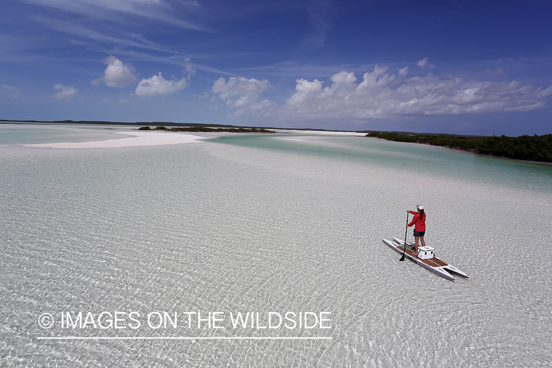 Saltwater flyfishing woman on paddle board on flats.