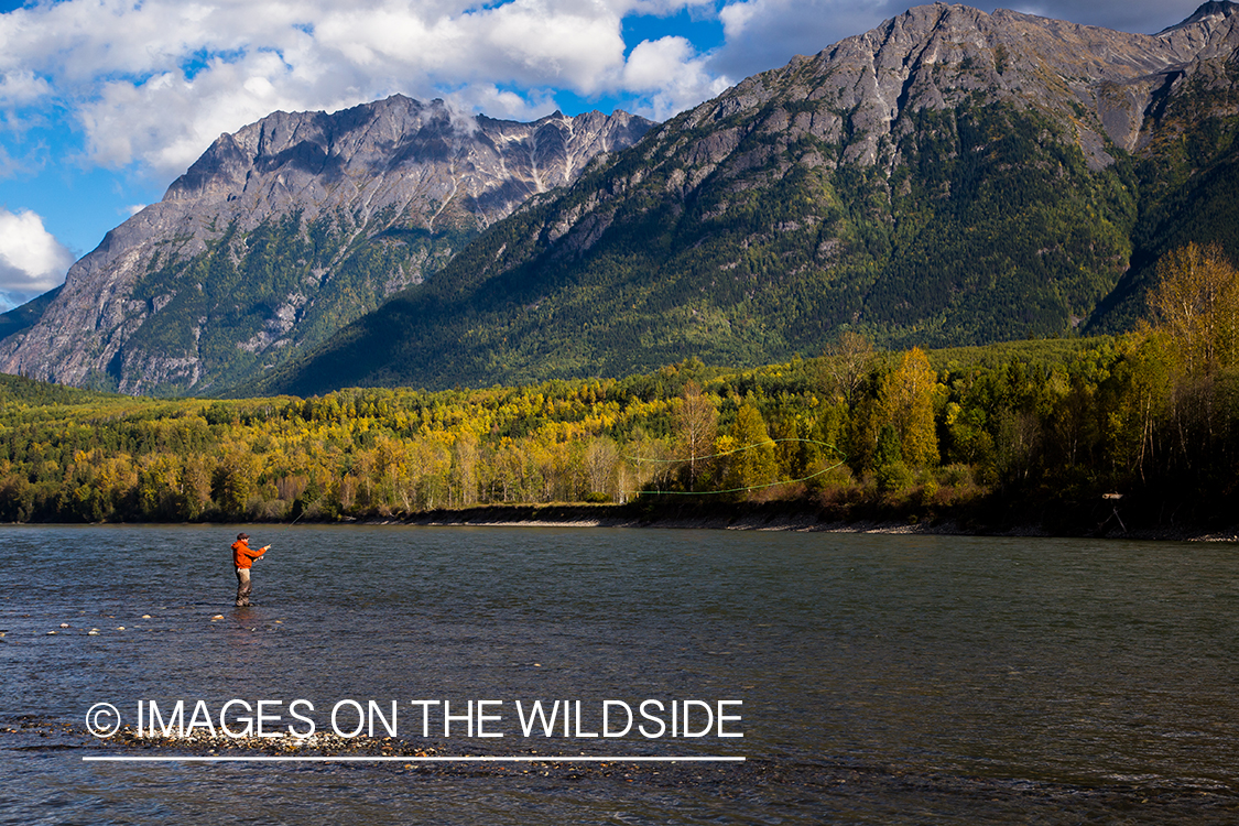 Steelhead fishing