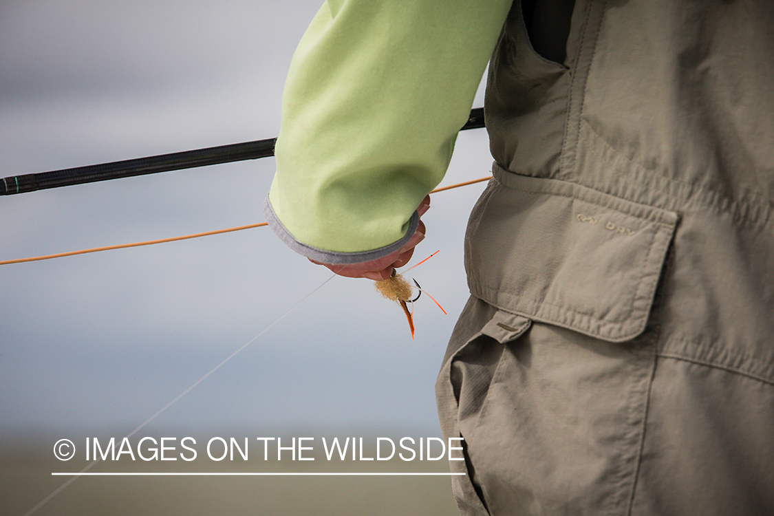 Flyfisherman holding fishing rod.