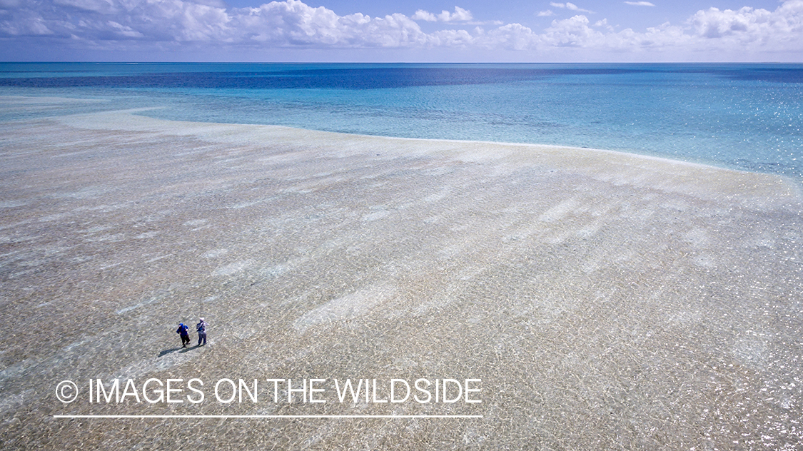 Drone aerial shot of fisherman on St. Brandon's Atoll Flats.