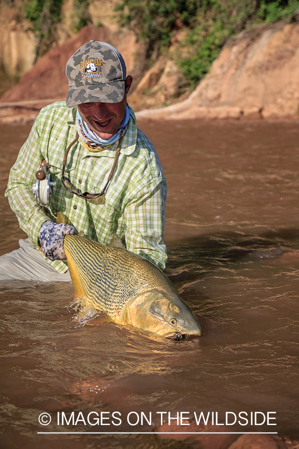 Flyfishing for Golden Dorado in Bolivia.