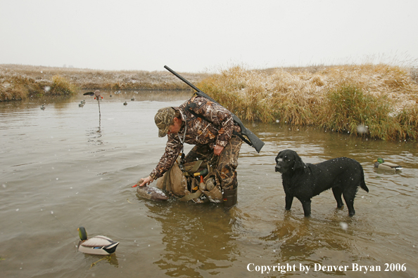 Duck hunting in winter