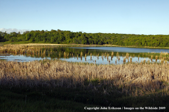 Wetlands on National Wildlife Refuge