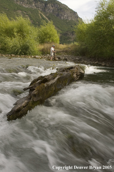 Flyfisherman casting.