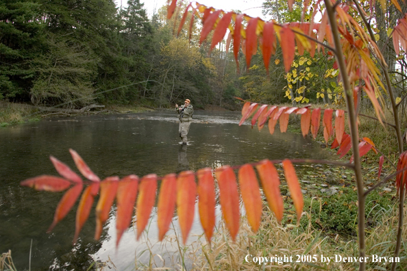 Flyfisherman playing large fish.