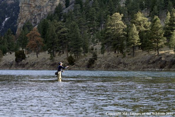 Flyfisherman casting in middle of river.