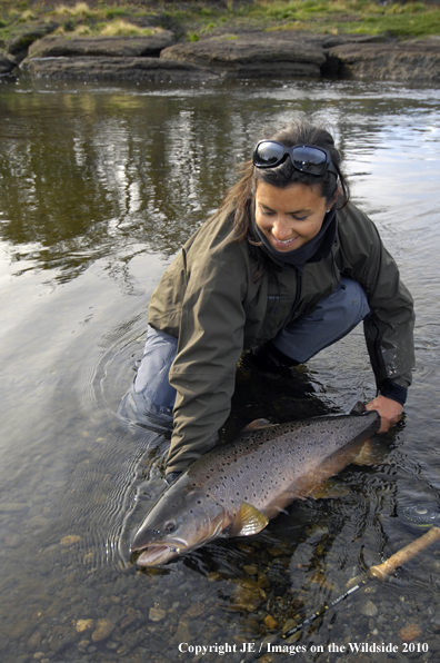 Flyfisherwoman with Nice Brown Trout