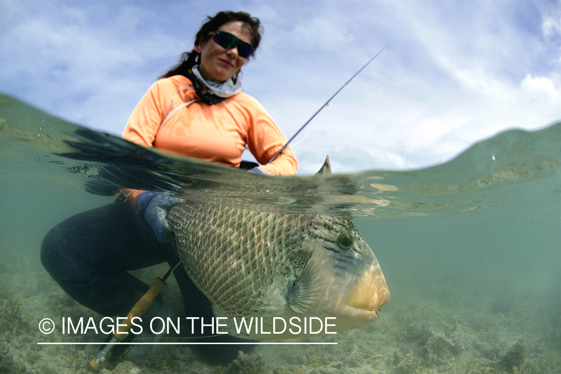 Flyfisherman with peachy triggerfish.