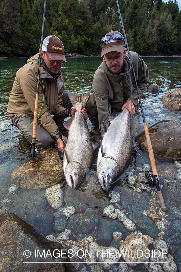 King salmon fishing in Chile.