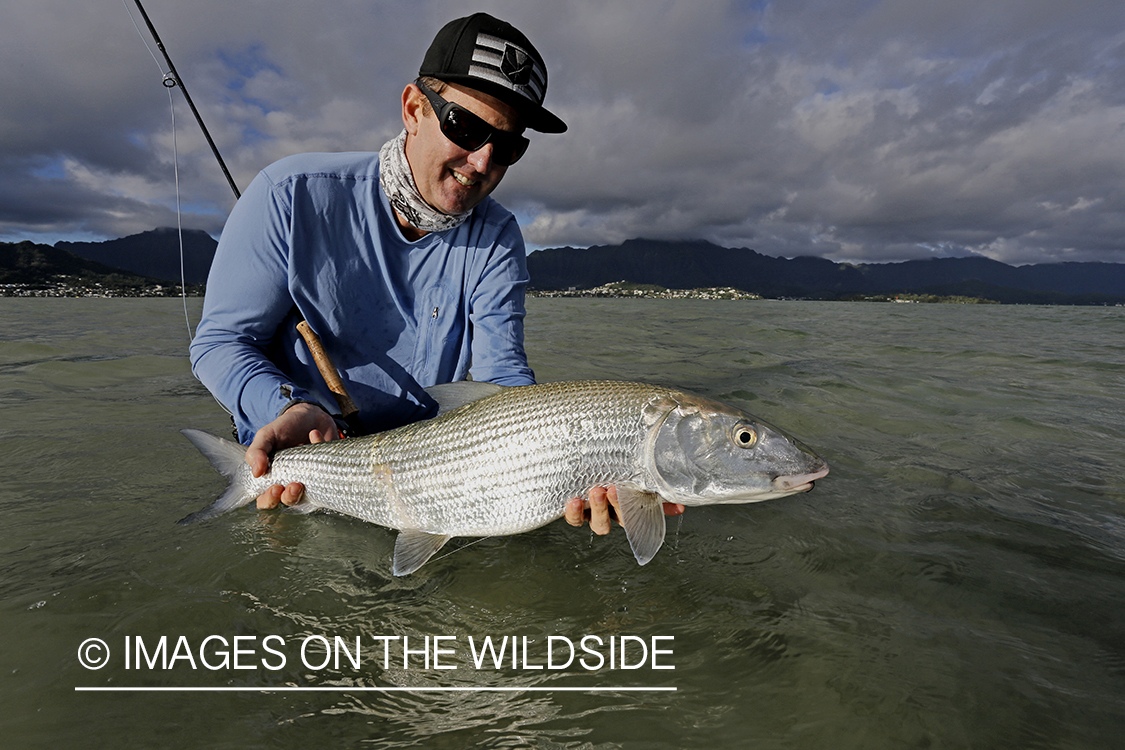 Saltwater flyfisherman with 13 lb bonefish, in Hawaii.