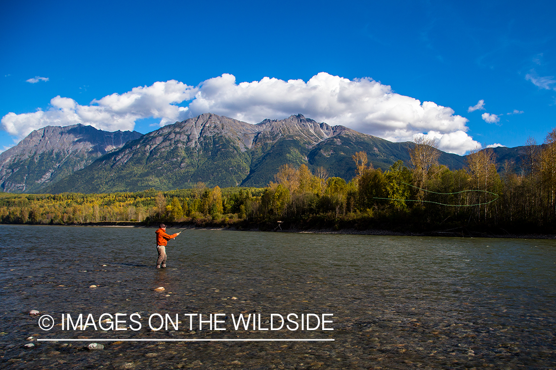 Steelhead fishing