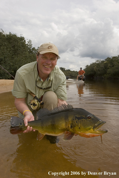 Fisherman holding Peacock Bass