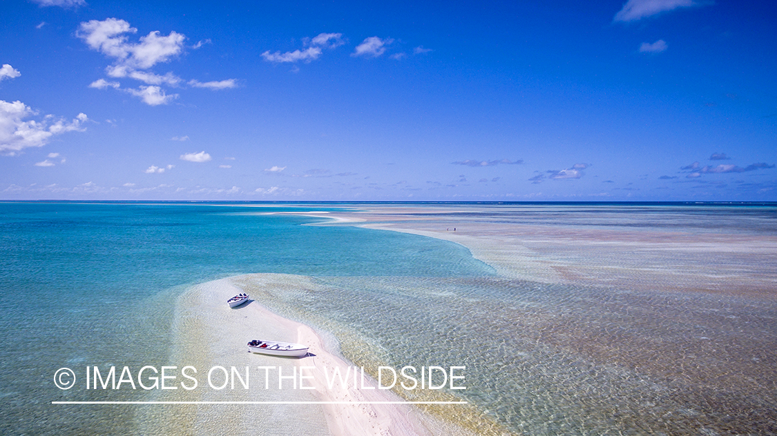 Drone aerial shot of fisherman on St. Brandon's Atoll Flats.