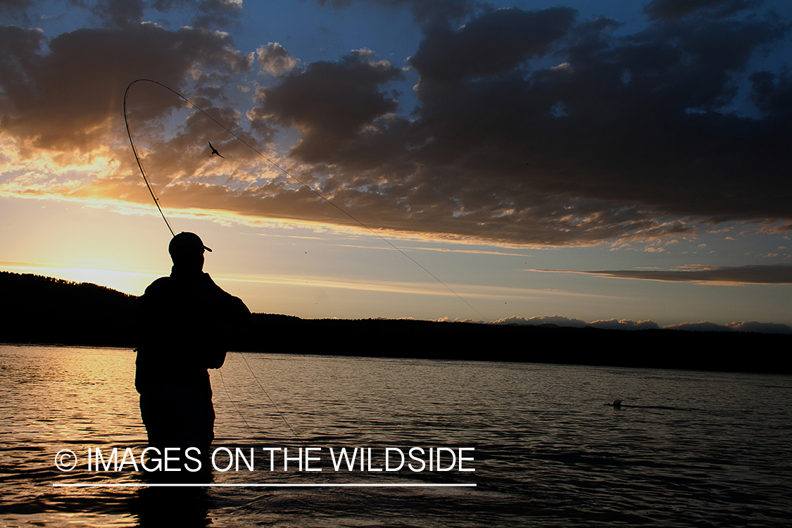 Flyfisherman fighting fish. 