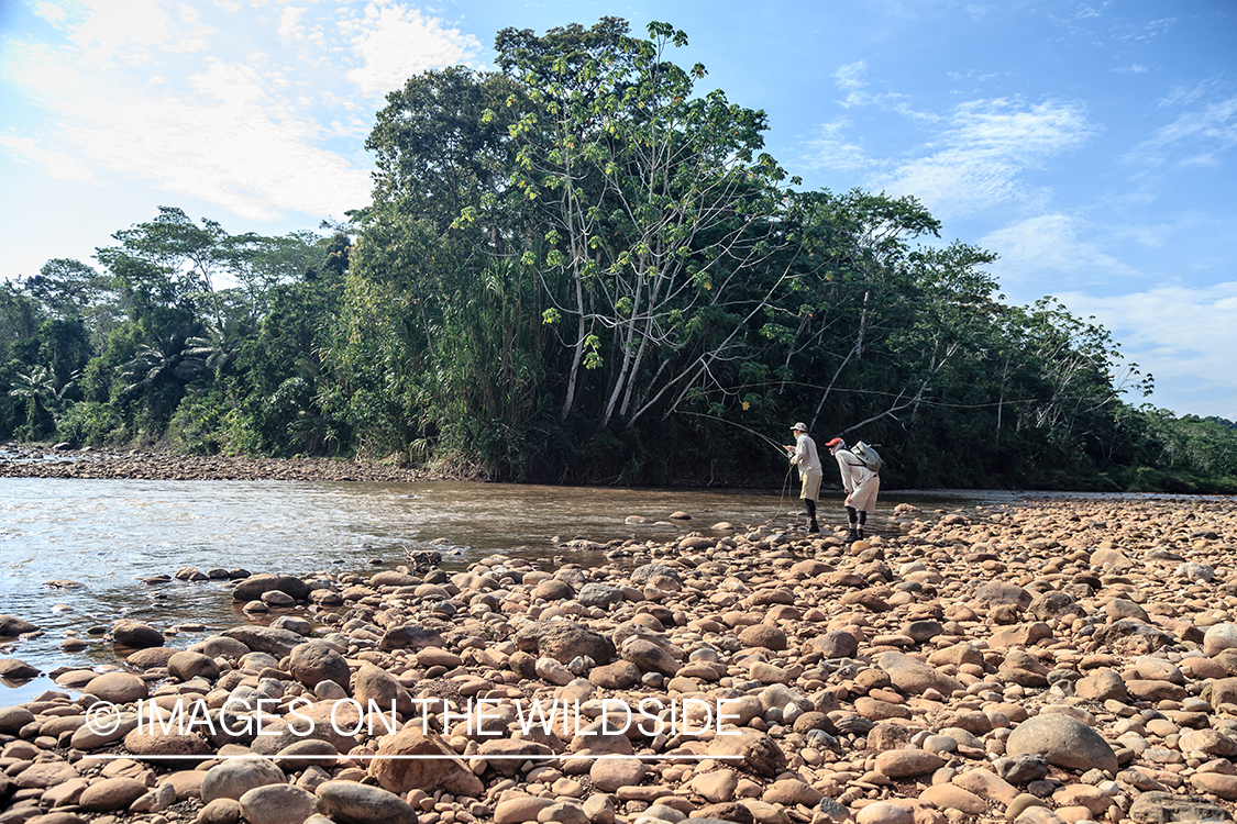 Flyfishing for Golden Dorado in Bolivia.